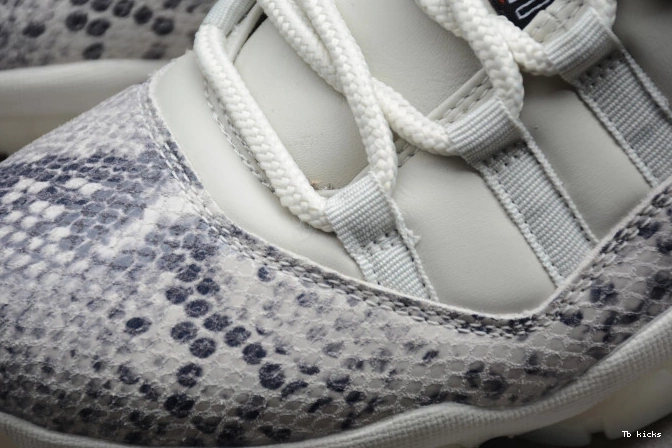 Rep TBK CD6846-002 Snake SE Jordan 11 Low Air Bone Light 0719